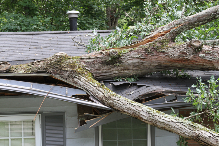 Insurance Claim for Roof Damage by Wind